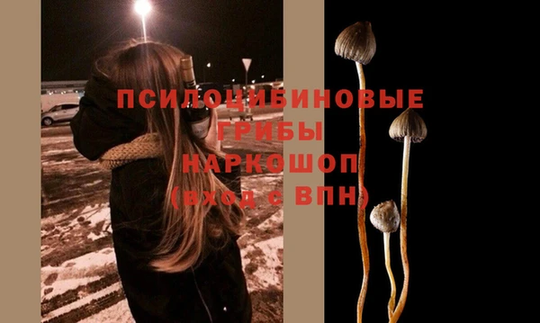 дживик Аркадак