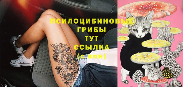 дживик Аркадак