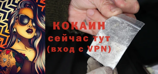 дживик Аркадак