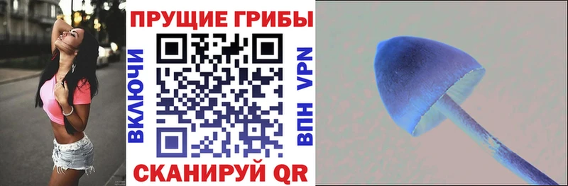 Купить где  Пошехонье  Галлюциногенные грибы MAGIC MUSHROOMS 
