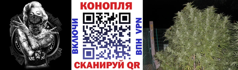 Бошки Шишки ГИДРОПОН  Купить закладки  Пошехонье 